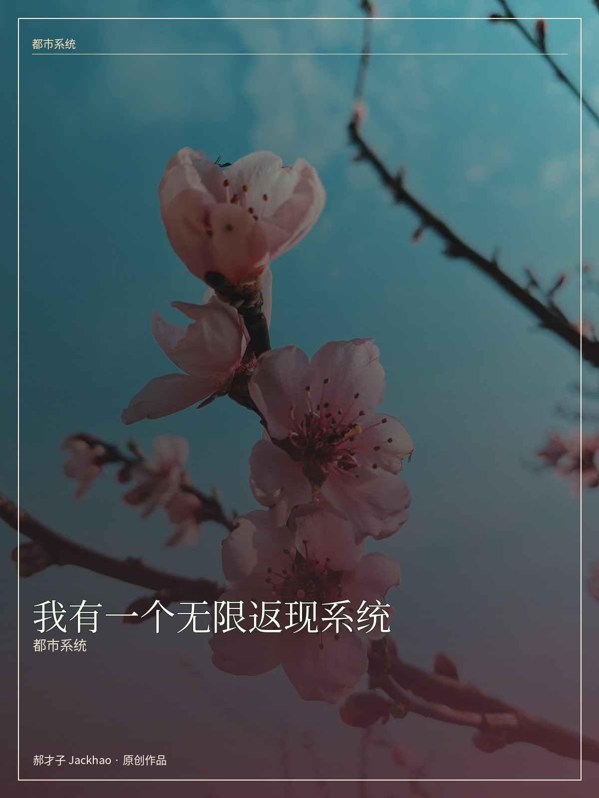 《我有一个无限返现系统》封面