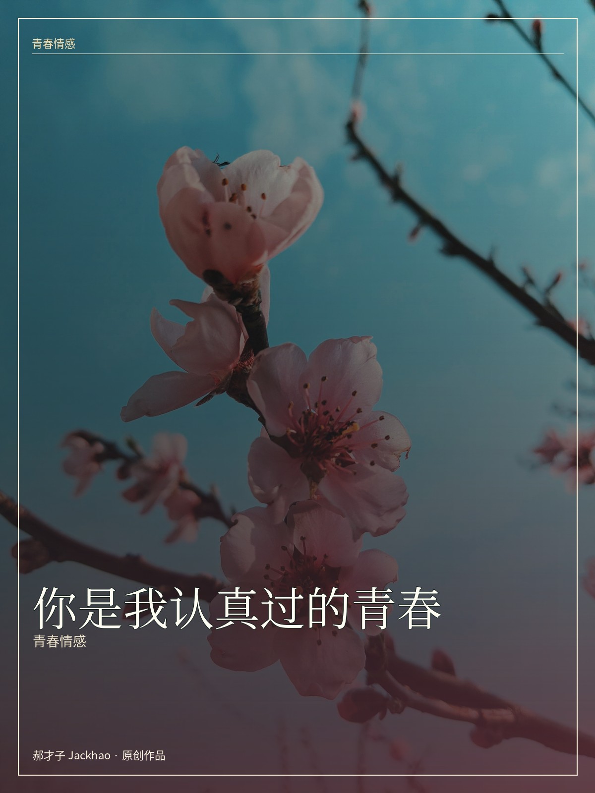 《你是我认真过的青春》封面