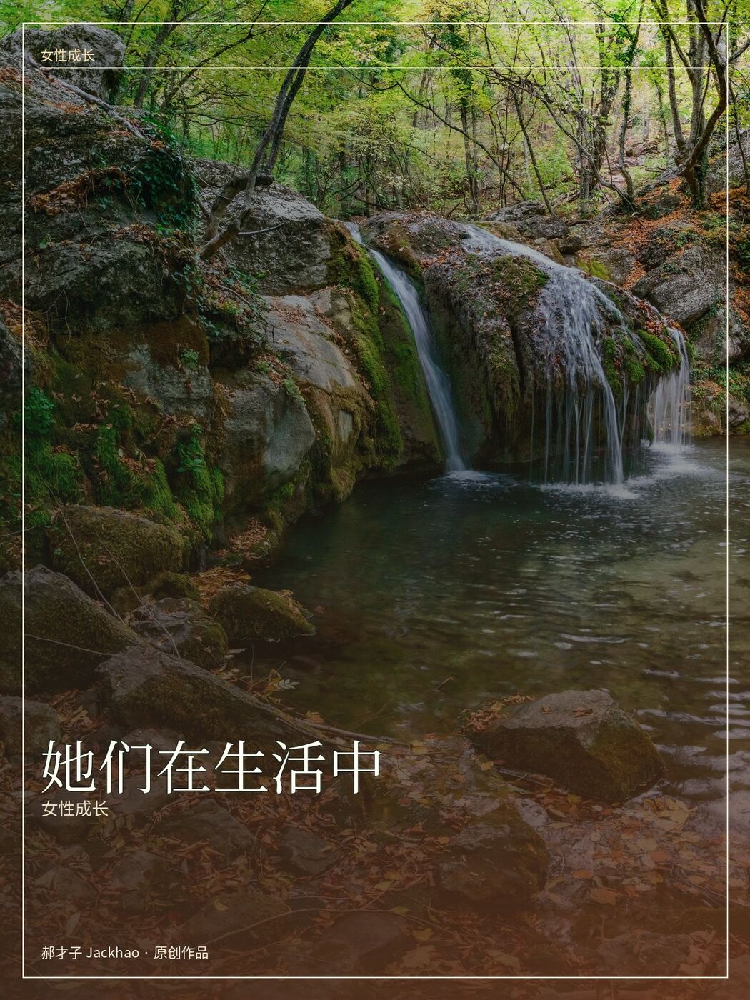 《她们在生活中》封面